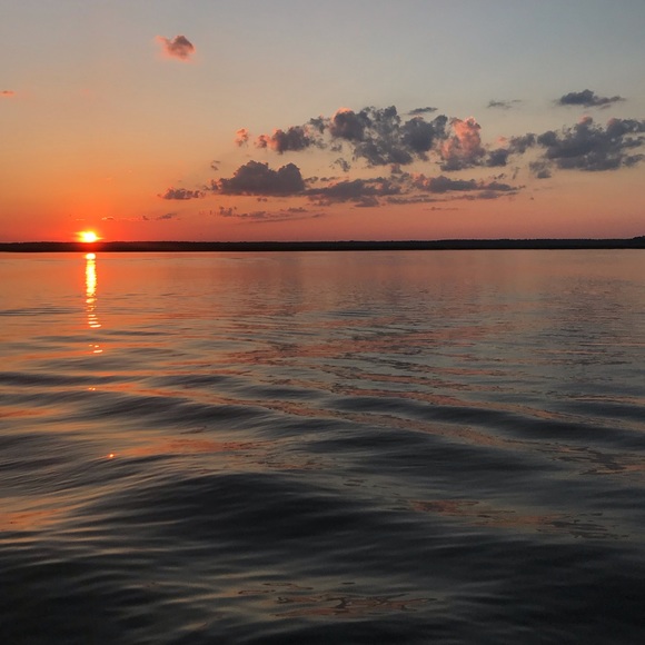 Meet your Posher, Anna - Picture 1 of 1